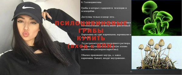 молекула духа Балахна