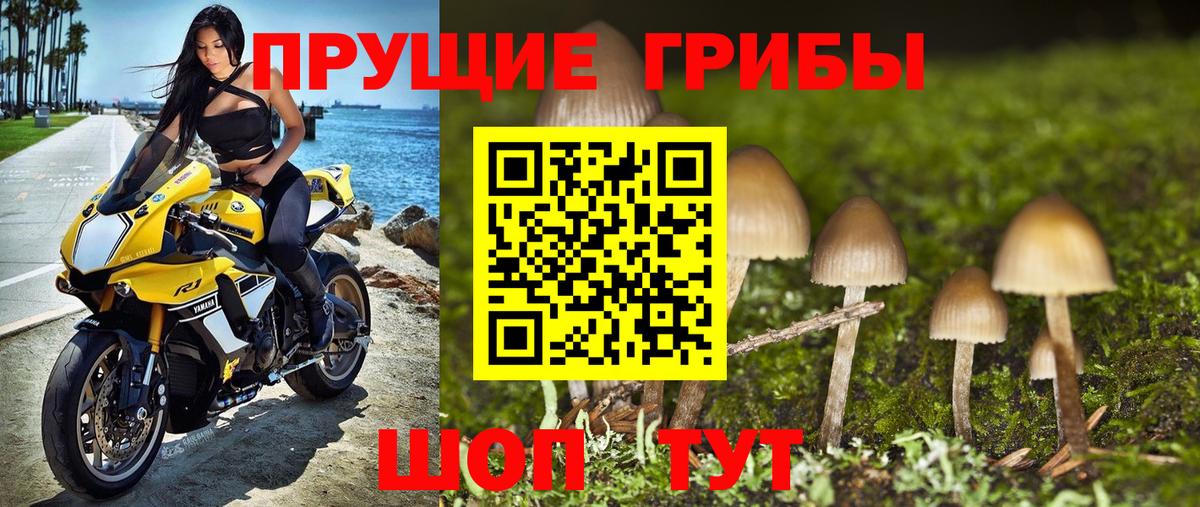 Псилоцибиновые грибы ЛСД Горно-Алтайск
