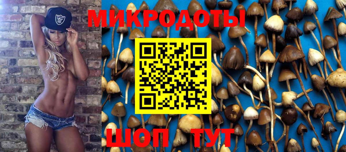 Псилоцибиновые грибы GOLDEN TEACHER  Вход с VPN  Галлюциногенные грибы MAGIC MUSHROOMS  Горно-Алтайск 