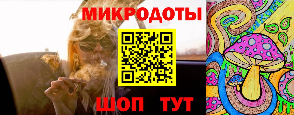 Псилоцибиновые грибы мицелий Горно-Алтайск