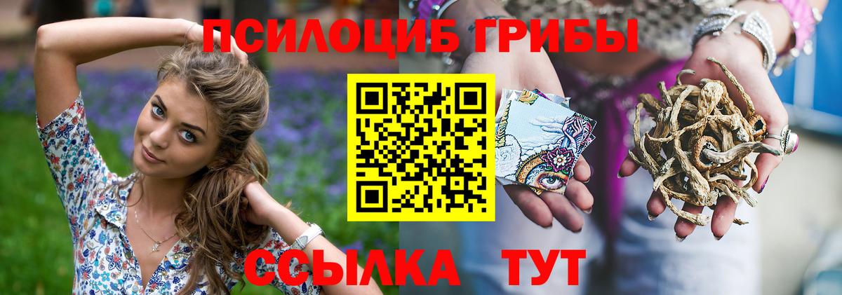 Псилоцибиновые грибы прущие грибы  Горно-Алтайск 