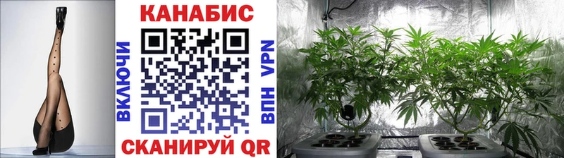 маркетплейс телеграм Горно-Алтайск Каннабис THC 21%